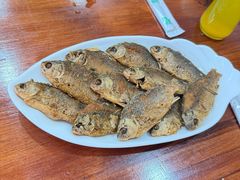 -独流饭店(静海区国土资源分局西)
