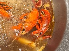 -黑金·寻焰自助百汇·烤肉·火锅(中街店)