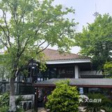 心旷神怡的花园时光