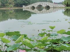 -飞来湖湿地公园