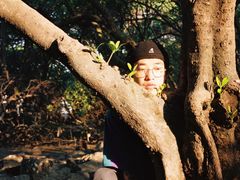 -宝安西湾红树林湿地公园