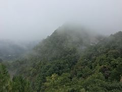 -塔云山