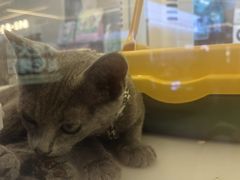 -成都仁和新城购物中心