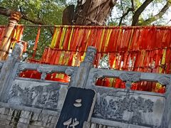 -大槐树寻根祭祖园