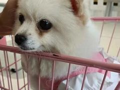 -怪兽屋·羊驼·猫咖·狗咖(俊华广场店)