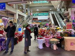 -花鸟鱼虫鲜花绿植市场(玉泉路店)