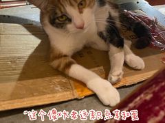 -洪齐林老镇