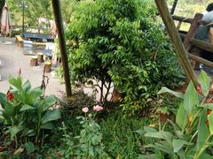 -楠柏弯休闲山庄(梨花溪店)