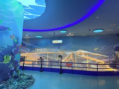 -福州罗源湾海洋世界旅游区