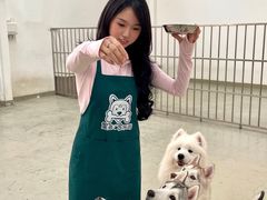 -星多哈·狗咖·拼豆·咖啡