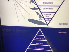 -同济大学四平路校区深海探索馆
