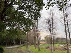 -广富林郊野公园