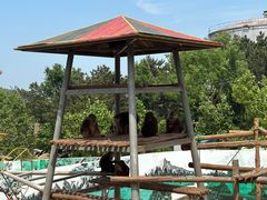 -西霞口神雕山野生动物世界