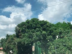 -松山湖南湖湾露营营地