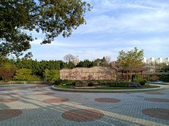 -嘉定紫藤园