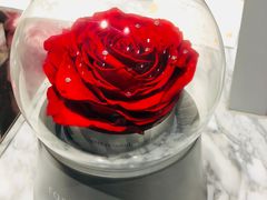 -ROSEONLY诺誓(青岛万象城店)