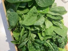 -千牛将·鲜牛肉火锅(开元路店)