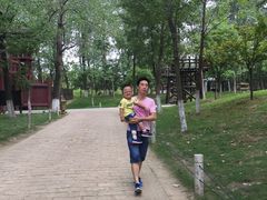 -田园东方蜜桃村的田野营地