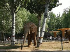 -石家庄市动物园