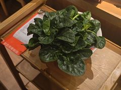 -东门口·鲜爆肚涮肉·烧烤(老门东店)