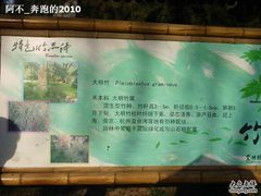 -紫竹院公园冰场