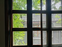 -两棵枇杷树