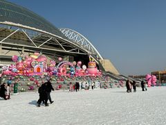-沈阳奥体冰雪嘉年华