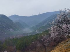 -北京鹫峰国家森林公园