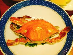 螃蟹-渔家风味·鲅鱼水饺·央视展播·海鲜天津菜(开发区店)