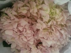 android_upload_pic-万达广场(大明宫店)