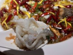 -太二酸菜鱼(汕头苏宁广场店)