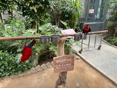 -南宫五洲植物乐园