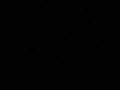 -IL paperino帕帕里诺冰激凌