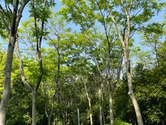 -长广溪湿地公园