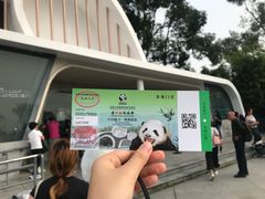 门票-成都大熊猫繁育研究基地
