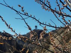 -北京凤凰岭
