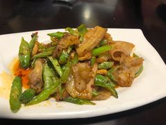 -陈麻婆豆腐总店