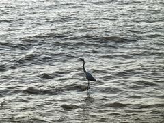 -星巴克(珠海仁恒滨海中心店)