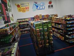 -蓟洲国际滑雪场