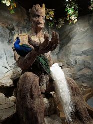 -Zoolung Zoolung动物主题公园(海信广场店)