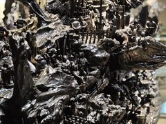 -乐山乌木文化博览苑