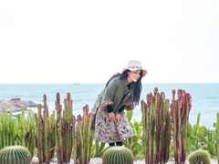 -广东惠东海龟国家级自然保护区