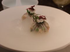 -觀芷隐轩