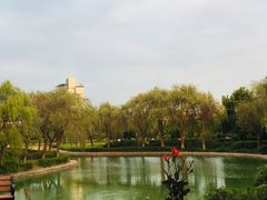 -南京财经大学(仙林校区)
