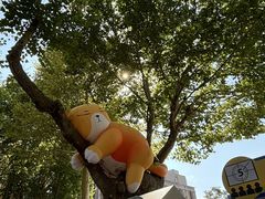 -西安电影制片厂