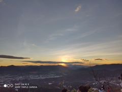 -长虫山生态公园风景林