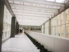 -佛山市妇幼保健院(新城院区)