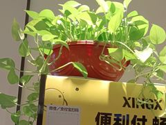 -溪畔•新徽菜(碧湖云溪店)