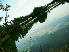 -秀丽东方