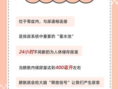 -名流健康高端体检中心·名宾门诊·健康管理